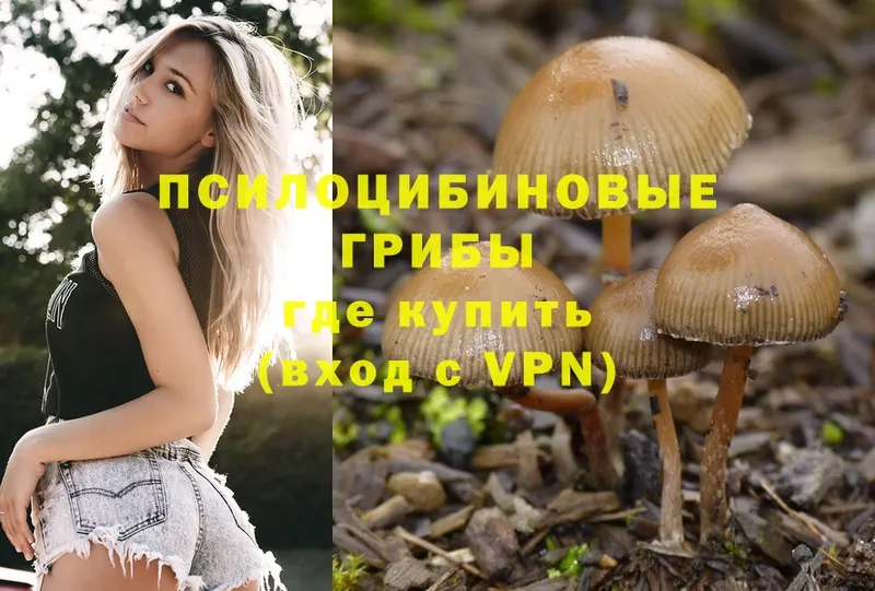 цены   Далматово  Галлюциногенные грибы MAGIC MUSHROOMS 