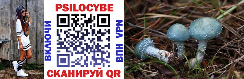 Галлюциногенные грибы Psilocybe  Далматово 
